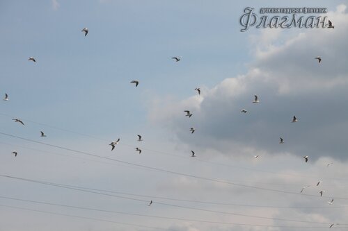 IMG_0885